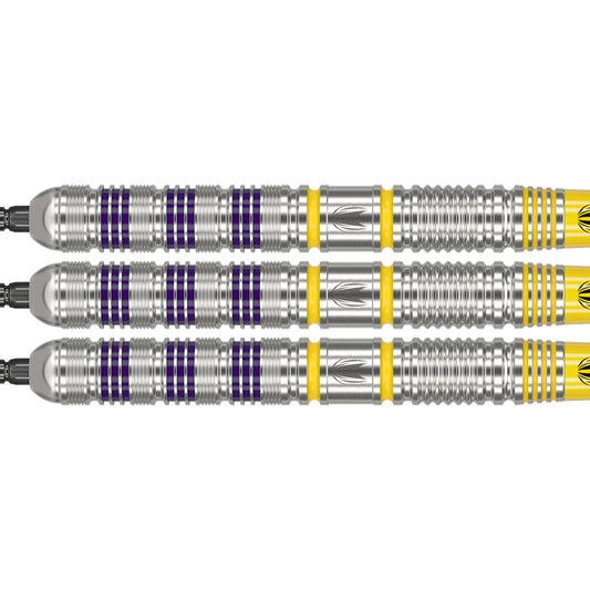 Target - Luke Littler Loadout - 90% - Swiss